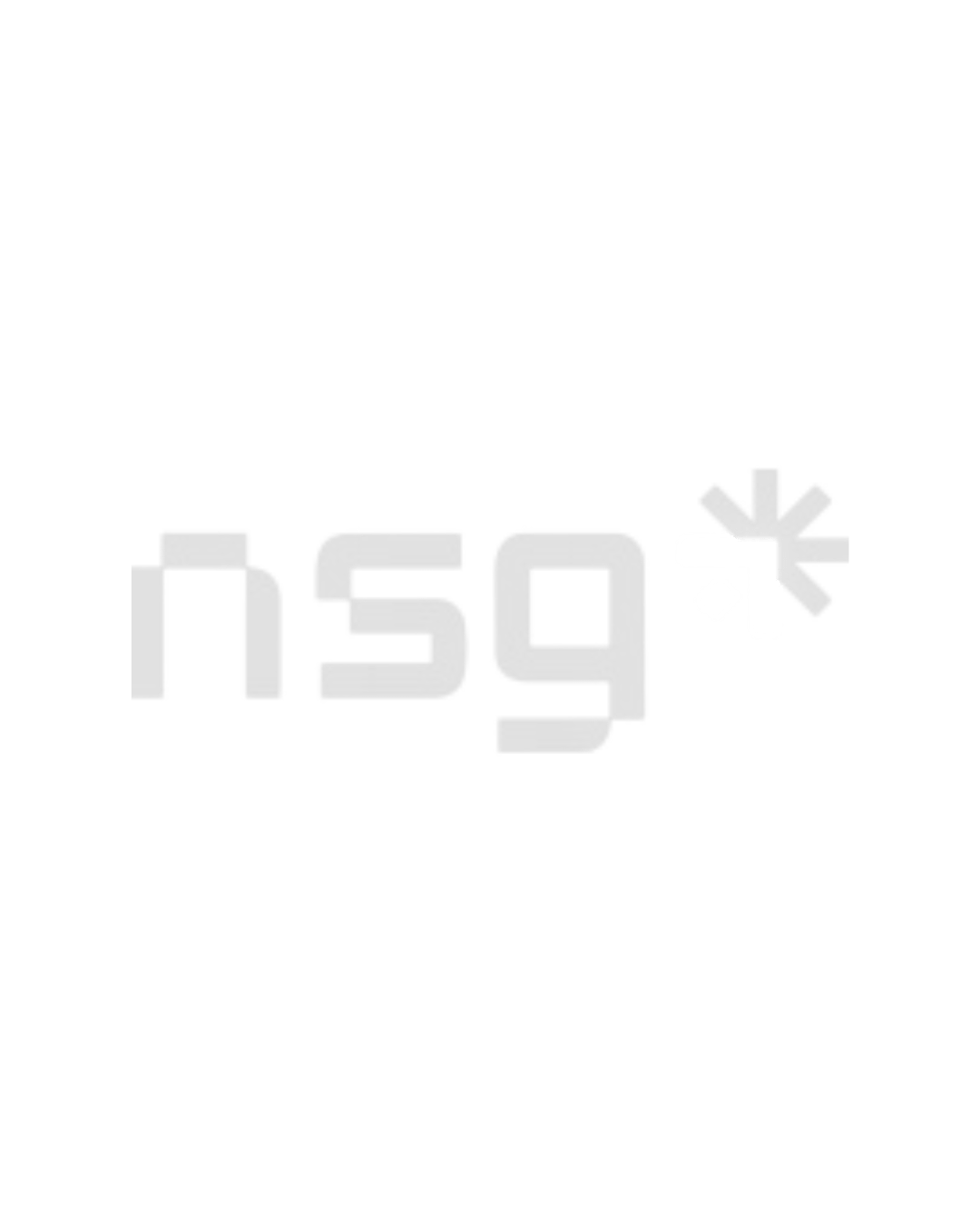 Logo da empresa NSG